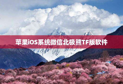 苹果iOS系统微信北极熊TF版软件