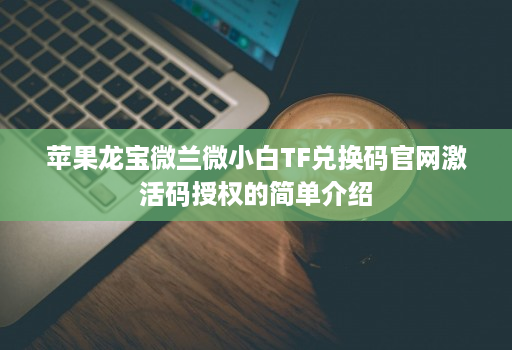 苹果龙宝微兰微小白TF兑换码官网激活码授权的简单介绍